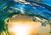 A vibrant ocean landscape with a rolling wave capturing the sunset light through the water