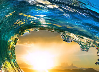A vibrant ocean landscape with a rolling wave capturing the sunset light through the water