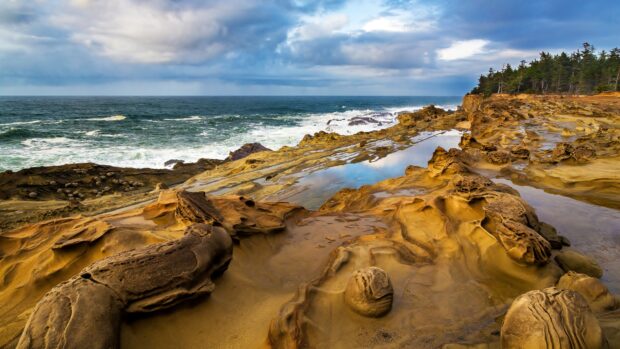 Rocky ocean landscape with tide pools and distant forest under cloudy sky