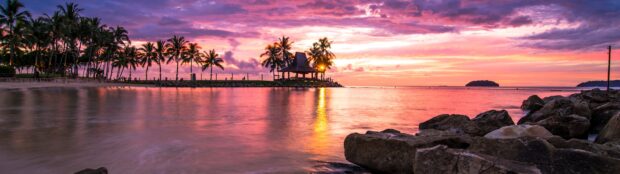 A tropical ocean landscape with palm trees and rocks under a vibrant sunset sky