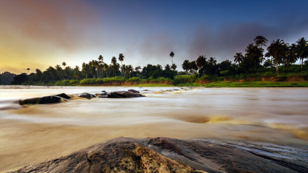 Calm ocean landscape with rocks and palm trees under a colorful sky at sunset
