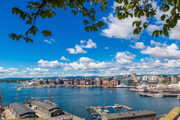 Oslo city harbor and waterfront with boats under blue sky and leaves in foreground