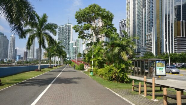 A scenic view of Panama City with tall buildings and palm trees along the pedestrian path