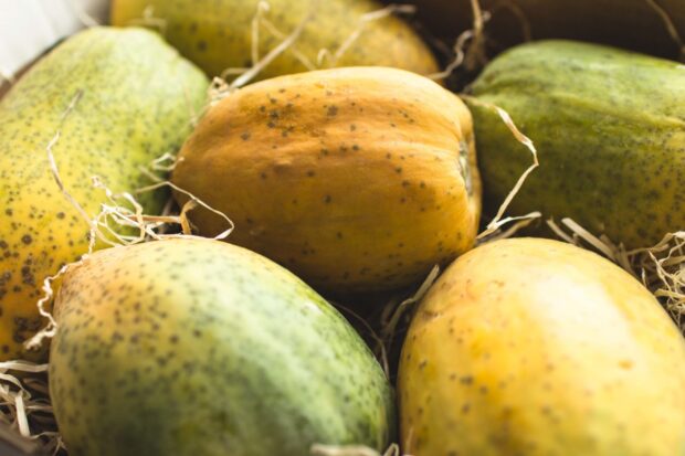 Fresh papaya with natural spots lying together in a rustic setting