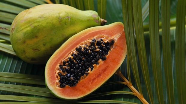 A ripe papaya cut open showing black seeds resting on green palm leaves