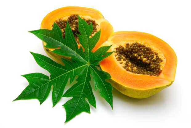 Fresh papaya fruit with green leaf on white background
