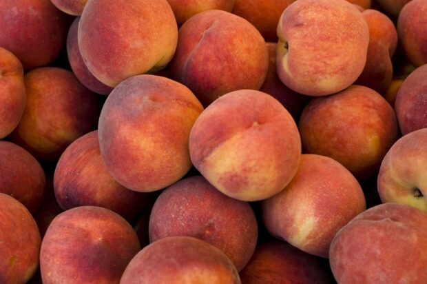 Fresh ripe peach close up on a pile of fresh ripe peaches
