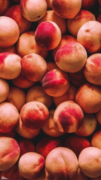 A close up of fresh ripe peach fruits showing natural texture and color