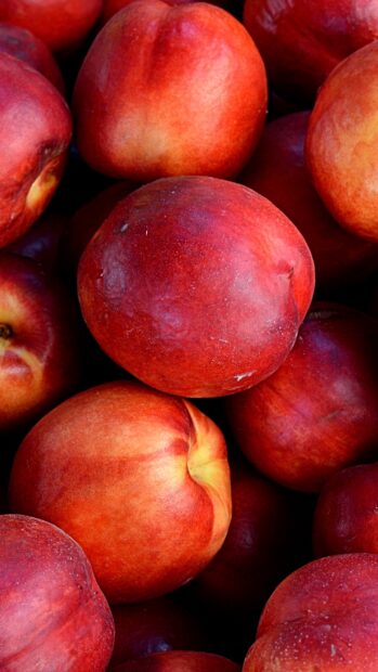 Close up view of fresh ripe peach fruits in vibrant red color