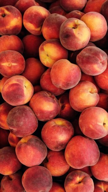 Fresh ripe peaches piled together in vibrant colors