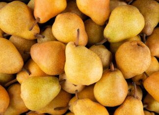A close up of ripe fresh pear fruit covering the whole frame