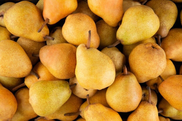 A close up of ripe fresh pear fruit covering the whole frame