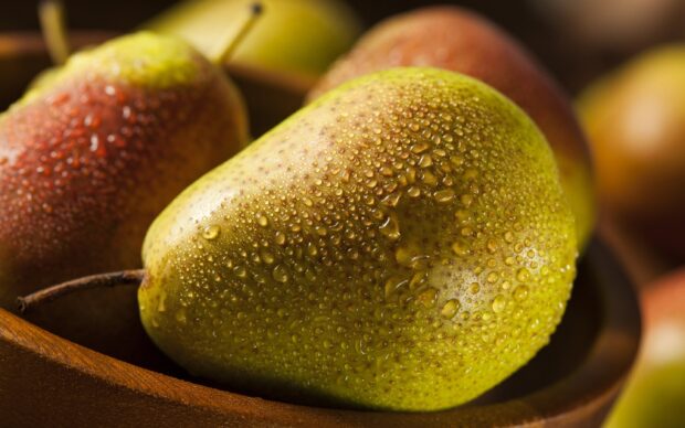 Fresh pear with water droplets on wooden surface in close up view