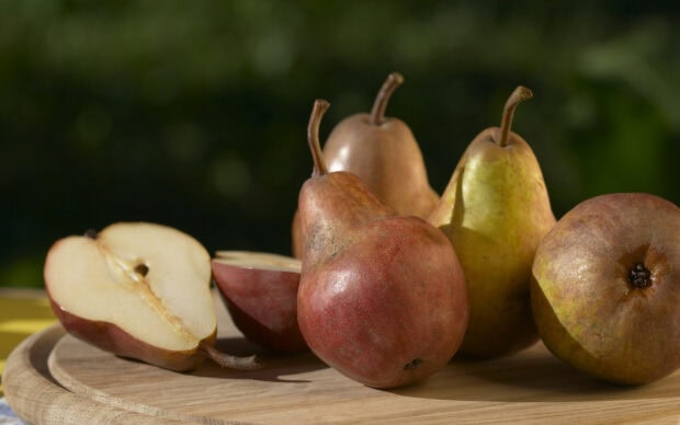 Fresh ripe pear variety placed on a wooden board under natural sunlight