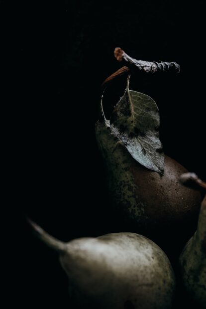 A close up of a pear with a leaf showing natural texture and detail in dark lighting