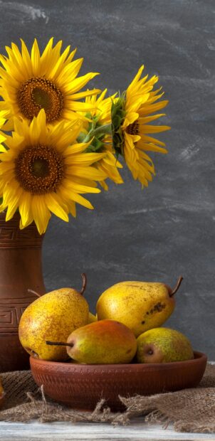 A bowl of ripe pears on a table next to a vase with vibrant sunflowers
