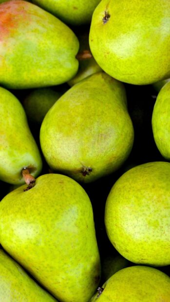 Closeup view of fresh green pear fruits stacked together in high resolution