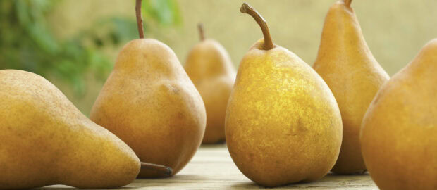 Fresh ripe pears on a wooden surface with a natural green background