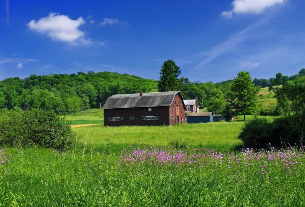 A peaceful Pennsylvania countryside with a wooden barn surrounded by green fields and wildflowers