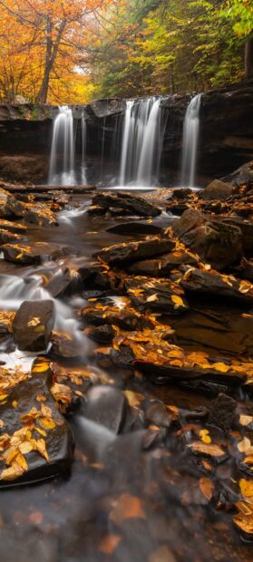 Autumn leaves cover rocks near a peaceful waterfall in Pennsylvania forest