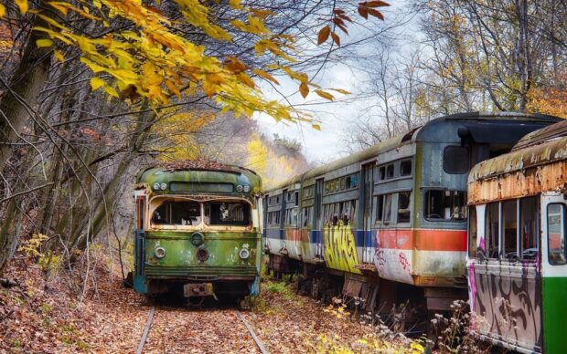 Abandoned trains covered with graffiti in Pennsylvania forest during autumn