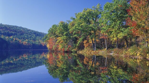 Autumn foliage in Pennsylvania reflecting over calm water on a clear blue sky day