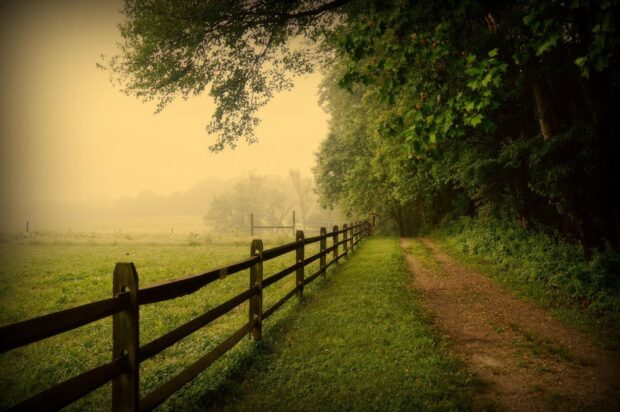 A peaceful rural fence line along a grassy path in Pennsylvania countryside