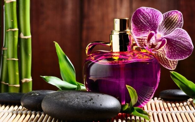 Purple perfume bottle surrounded by green leaves and black stones on bamboo mat