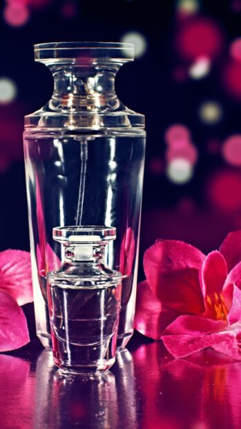 Transparent perfume bottle with pink flower petals on reflective surface