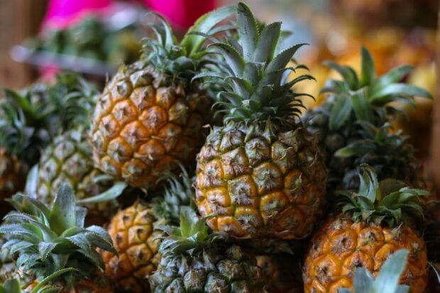 A close up view of ripe pineapple fruits with green leaves in a market setting