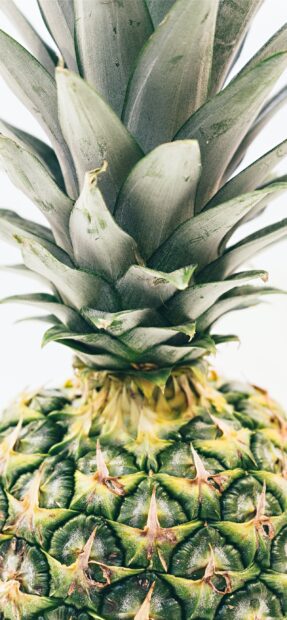 Close up of pineapple leaves and textured skin on a fresh fruit