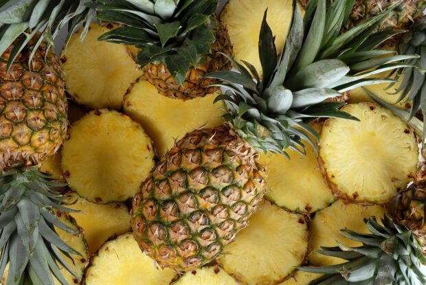 Fresh pineapple surrounded by pineapple slices with green leaves and textured skin