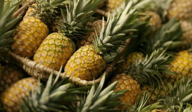 A basket of fresh pineapple with green leaves at a market display