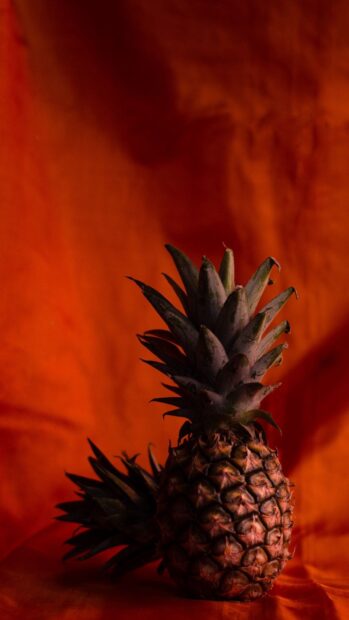 A fresh pineapple with green leaves standing against an orange background