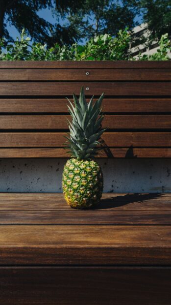 A fresh pineapple fruit placed on a wooden bench with green foliage in the background