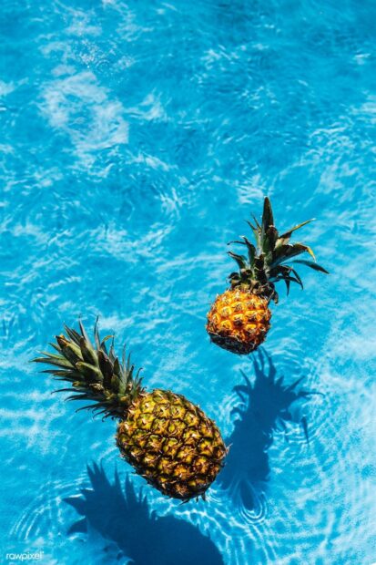 Two ripe pineapple fruits floating on clear blue water with visible shadows