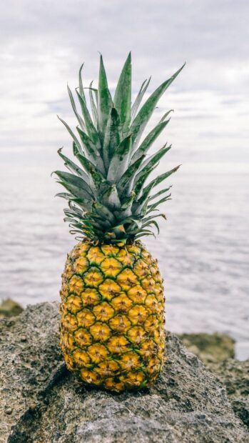 A fresh pineapple standing on rocky surface near the sea under cloudy sky