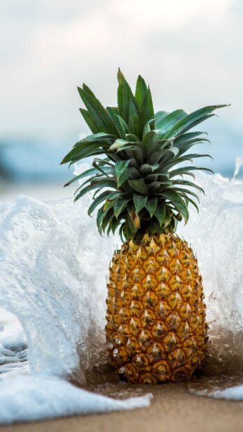 A ripe pineapple standing on the sandy shore with waves splashing around it