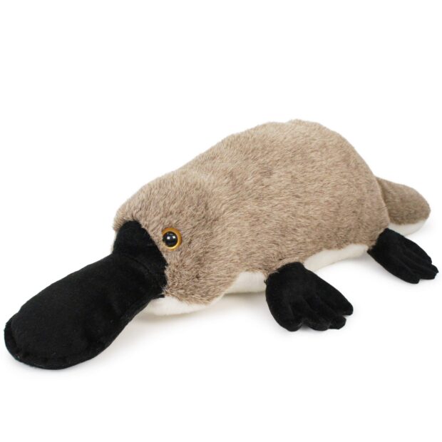 A plush platypus toy with soft brown fur and black beak and feet on a white background