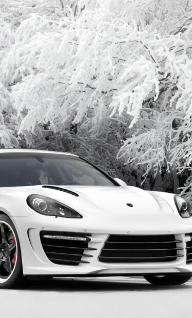 White Porsche Panamera parked in front of snowy trees in winter scenery