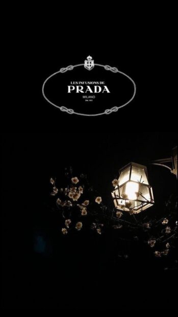 Illuminated street lamp surrounded by blooming flowers in a dark night with Prada logo