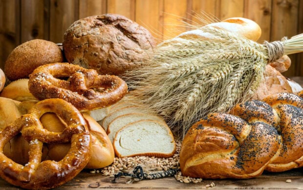 Fresh pretzel bread surrounded by various types of bread and wheat stalks on a wooden surface
