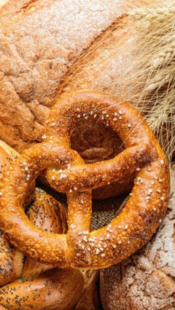 A close up view of a pretzel with coarse salt and fresh wheat stalks in the background