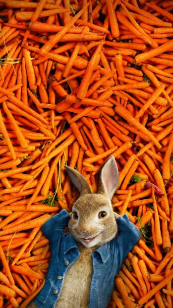 A rabbit lying on a pile of fresh carrots smiling comfortably in a blue jacket