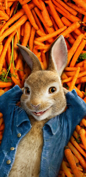 A rabbit wearing a denim jacket relaxing on a pile of fresh carrots in a playful setting