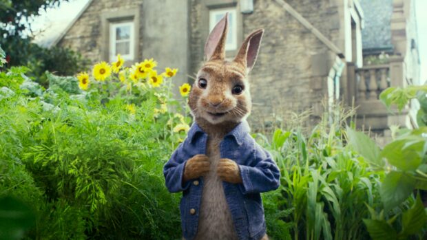 A rabbit wearing a blue jacket stands in a garden full of green plants and sunflowers