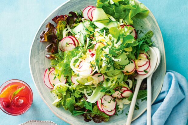 Fresh mixed green salad with sliced radish and herbs on a plate
