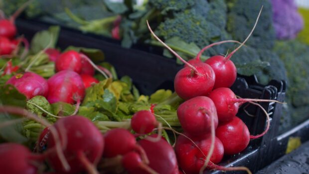 Fresh radish with green leaves displayed at the market close up view