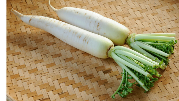 Two fresh radish roots with green stems lying on a woven bamboo mat
