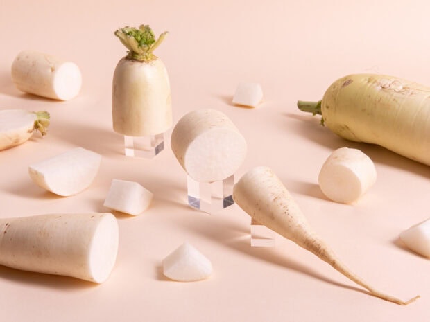 Various cut and whole radish pieces arranged on a light background for radish design